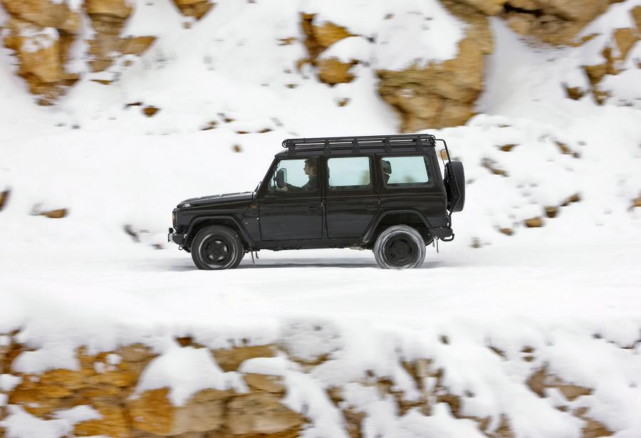  Mercedes-Benz G-Class Edition 30 2009 года  (фото 7 из 11)